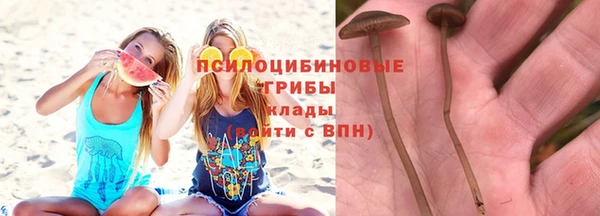 соль курить ск Яровое