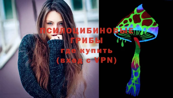 spice Чегем