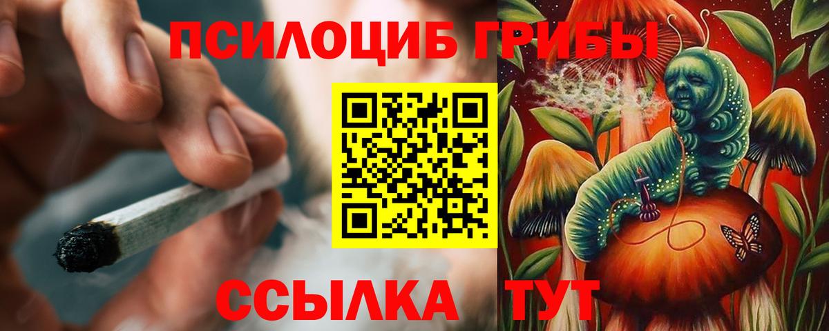 Галлюциногенные грибы MAGIC MUSHROOMS Тутаев