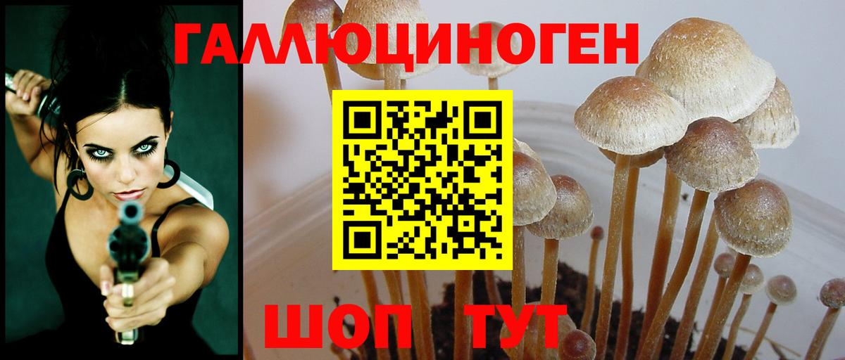 Тутаев  Псилоцибиновые грибы Psilocybine cubensis  где купить наркоту  Вход с VPN 